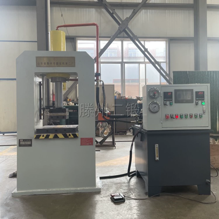 Малый Longmen гидравлический пресс новый 50T горячее формовочное оборудование 100T выпрямитель машина поддерживает индивидуальные цены