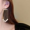 Long earrings with tassels from pearl, fashionable small design silver needle, 2023 collection, European style, wholesale