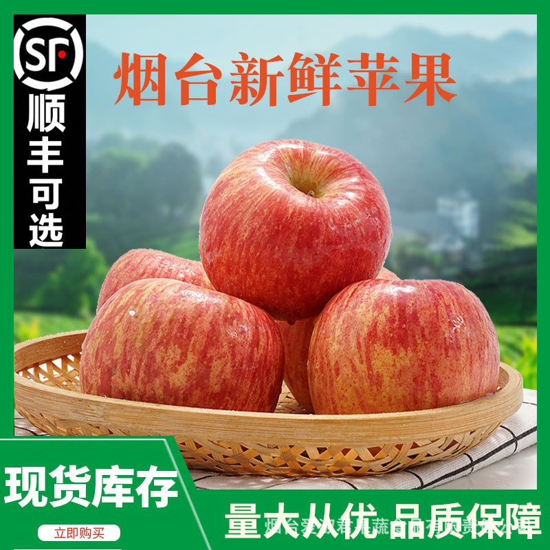 Yantai Red Fuji Apple Shandong Qixia Tangxin Pingguo Wholesale Fresh Seasonal Crisp Sweet Juicy Hill Apple Yantai Red Fuji Apple Shandong Qixia Tangxin Pingguo Wholesale Fresh Seasonal Crisp Sweet Juicy Hill Apple