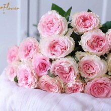 һ�����l��Ʒ�������¼�õ�����Ի����̨ͥԺ�༾���_��ֱ����