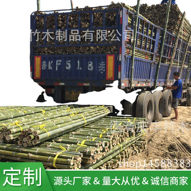 Производители происхождения поставляют Mobamboo немного ямс, опорные стержни для деревьев