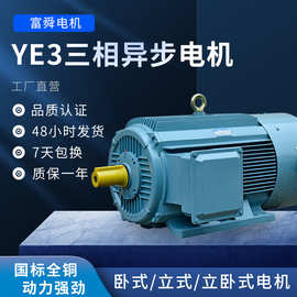 2极三相异步电动机 YE3高效率全铜马达电机0.75kw-37千瓦交流电机