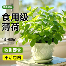 ՚⻨ֲԵ㱡Կʳˮ؈҃