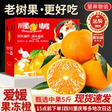 �����_�Ĵ�����38̖�����Ƚ�����ˮ�����rˮ������5��ι�70mm+Դ