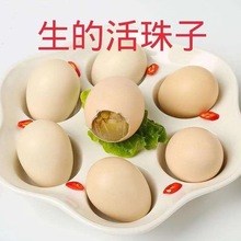 �����������u�ߵ�13�����������䓻�������ë���뵰���P��