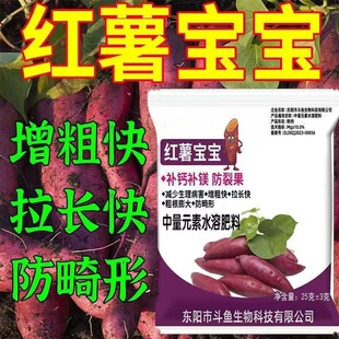 �t�팚������Ԫ��ˮ�ܷ��~��ʷ������ѹ��a�}�V�����͵ع�ˮ�ܷ�