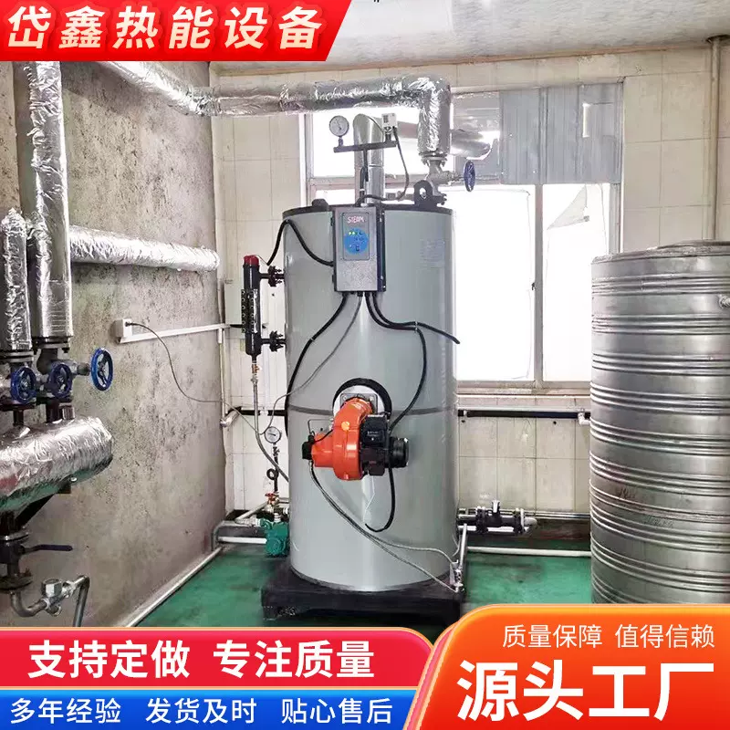 0.5吨蒸汽锅炉立式燃油燃气蒸汽发生器 学校供暖食品加工蒸汽锅炉