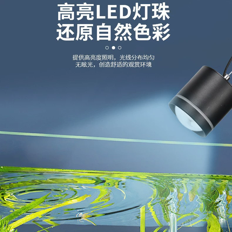LED