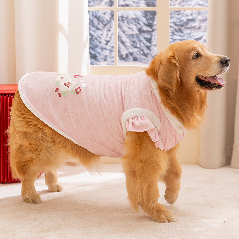 Otoño y invierno perros chinos abrazadera de algodón perros grandes de cabello dorado perros grandes Tang vestido de ropa de mascota Samoa dos pies