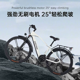 电动自行车;电动三轮车;滑板车