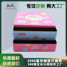 厂家马卡龙双层加厚马口铁盒 加大方形多层曲奇饼干马口铁盒包装