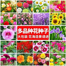 ��ɫ̫ꖻ��N���ذ�̫ꖻ��N�ӻ��@ͥԺ�̨�ļ������׻�ܷN��