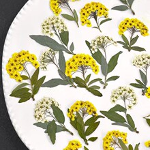 �S��ֱ����֦Сˮ�ɽ����յ��z�֙C��������y�N���ɻ���������