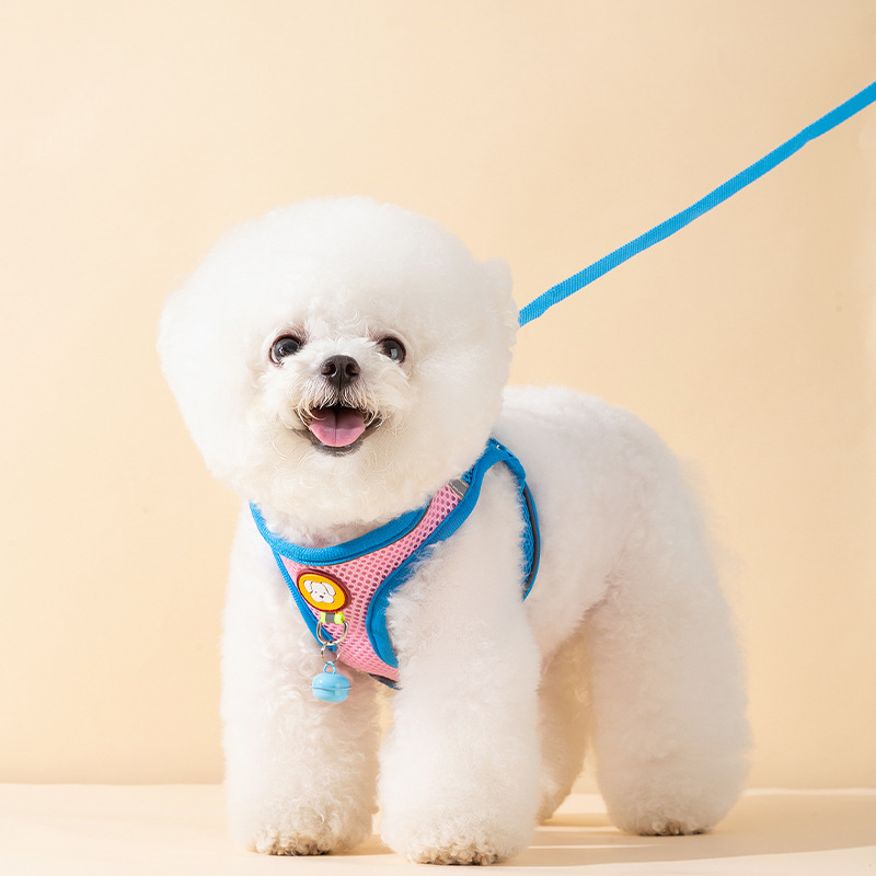 Chaleco tipo cuerda de tracción para perros, correa de pecho para cachorros Pomegranati, cadena para perros, cuerda de paseo para perros