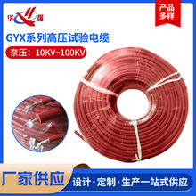 ���S�����߉�ԇ���|������GYX-10KV20KV50KV100KV�����z�߉���