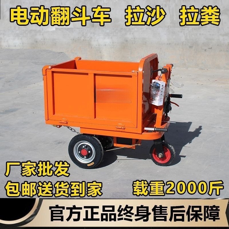 Construcción de camiones basculantes de carga camión de cenizas manual eléctrico Lasha material de cultivo camión de transporte de placa plana camión de trabajo otro