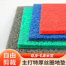 門口地墊加厚塑料絲圈腳墊大門口防滑防水地毯家用入戶門墊可裁剪