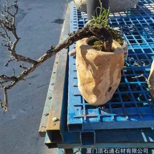 Natural Stone Vase Creative Succulent Bonsai Cross-Border Wholesale Customized Calamus Small Plant Hydroponic Stone Trough Flower Pot