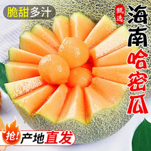 ���ں��Ϲ��ܹ�5���b�����֭����۹����r�Fժˮ������