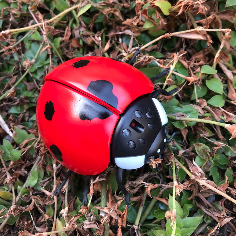 Kids' Toy