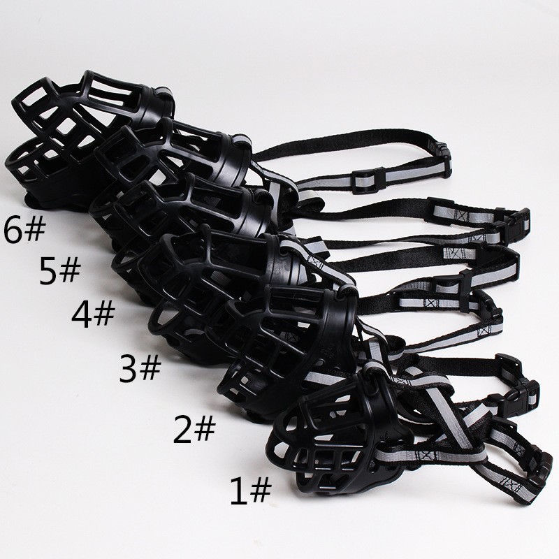 4269773532_1676148479