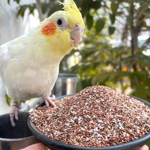 �S�����l���B���BС���W�^����ɰһ��50����