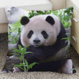 ����؈÷�m���Ⱨ���^�DƬdiy����������߅���|��˯���^