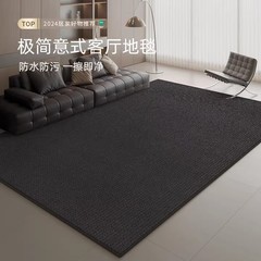 カーペットのリビングルームの純色の黒色は洗っていません。