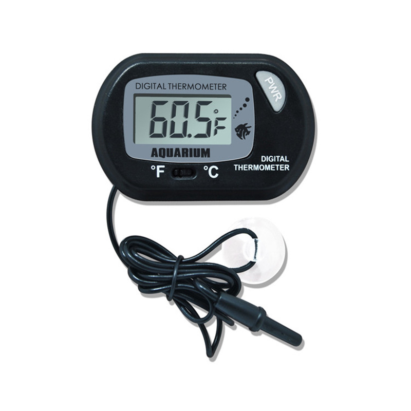 Aquarium, thermometer, small electronic storage box