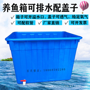 Thickening and drainage plastic fish farming box can install a turtle box with a large fishing box that can be placed in water