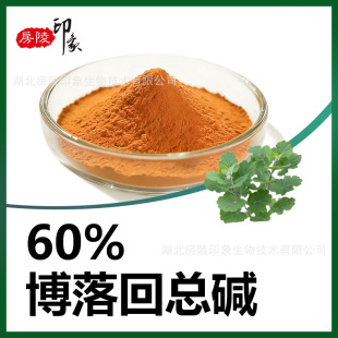 ����ؿ��| 60% �������ȡ��Ѫ���| 40%+ �����˼t�| 20%