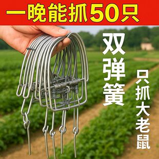 �������A������һ�C�˼����ԄӲ�������Ч����������F������