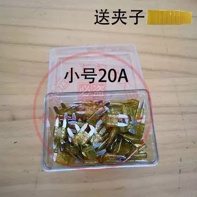 Other Electric Vehicle Accessories – Vehicle Lithium Battery Fuse - enhanced-version-100-pieces-small-size-20a-comes-with-clip