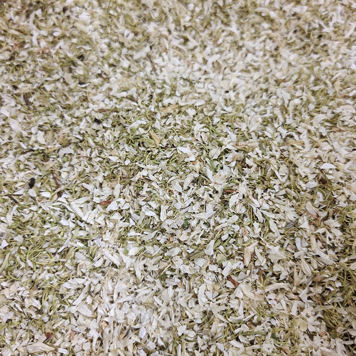 广西南宁横州市茉莉花之都 茉莉花干碎沫