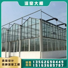 厂家直发智能温室 智能连栋温室价格 连体大棚骨架配件一件代发