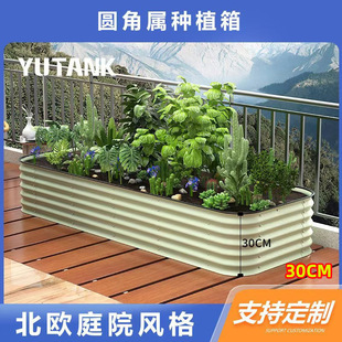 30CM���ٷNֲ���@���̨�Nֲ�����N�˿��ԇ��ڻ����߲˷Nֲ��