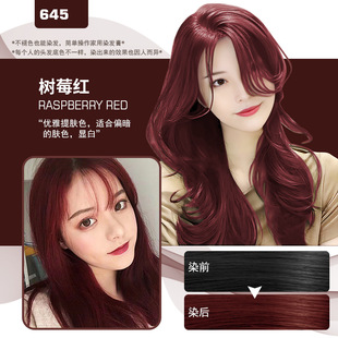 ���u���x��Ȼ��2025����ɫ�@��ֲ�＃�̲����ɫ�����tɫȾ�l����