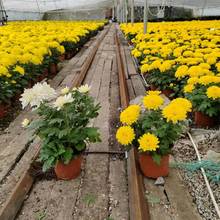 �S�׾�ͥԺ�����Ӻ��m���ͺ����Nϲꎻ���ֲ��ݻ����Ժ��B��