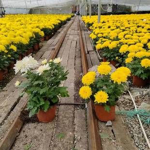�S�׾�ͥԺ�����Ӻ��m���ͺ����Nϲꎻ���ֲ��ݻ����Ժ��B��