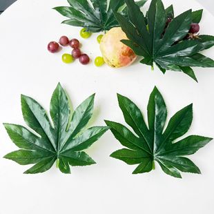 ����˽ǽ�P�~����ˮ���^���~�ӵ������bG�~С���~�[�P����