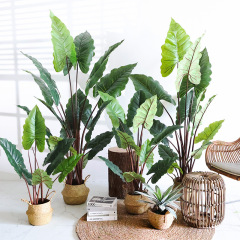 虹の芋のシミュレーション植物の鉢植えの室内の客間は緑をまねて植えます。