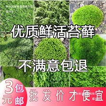 �r��̦�\ֲ�����\��̦΢���^�辰��������diy�쾰��ˮꑸ���