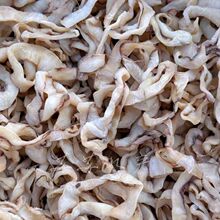 ��؛�O���������~�l�O���ԕ����~�������~���r�خa���~�ɳ��ˌ���