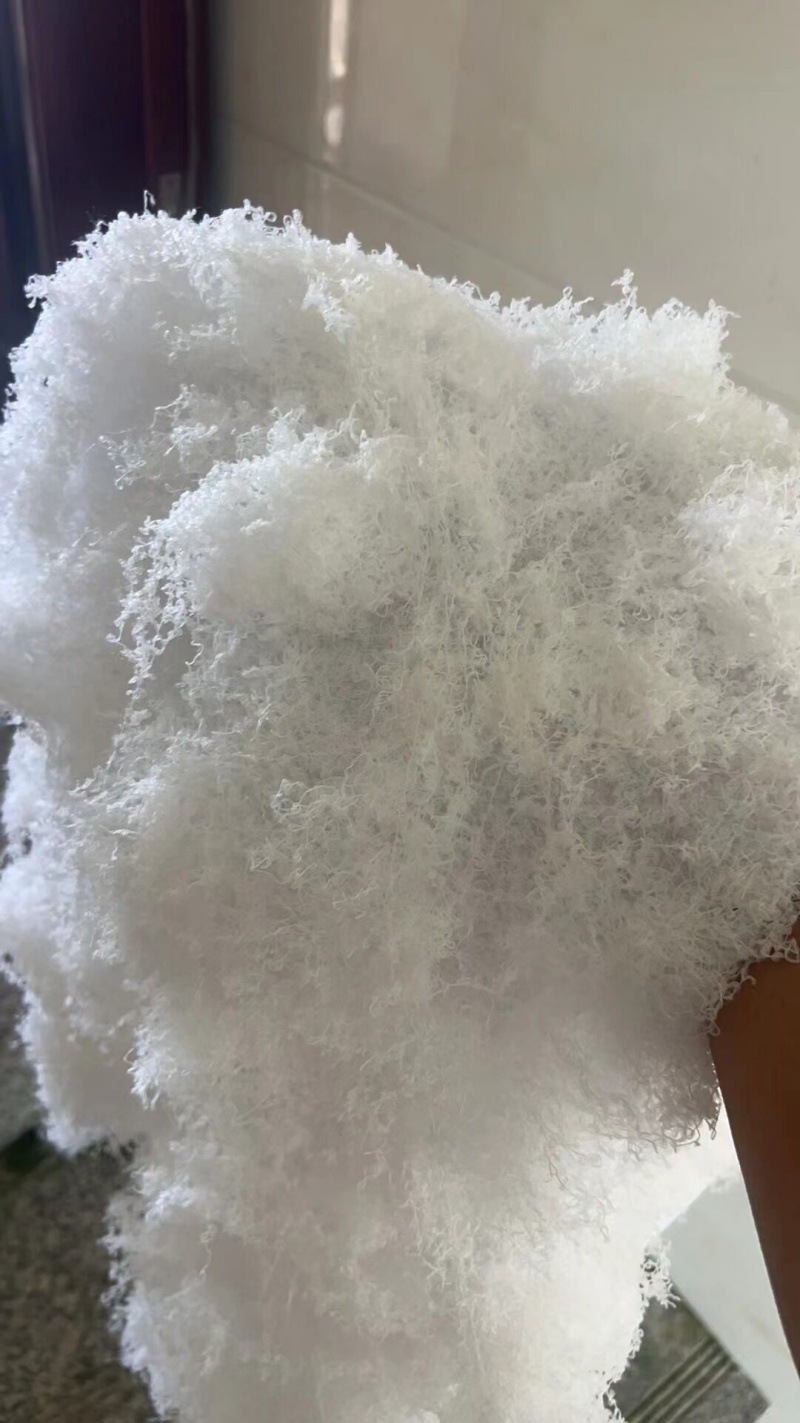 QQ图片20240804155821_副本