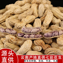 ����خa�߲ʻ������b����M�������e��ʳ�����ɹ�ɢ�b�S�����l