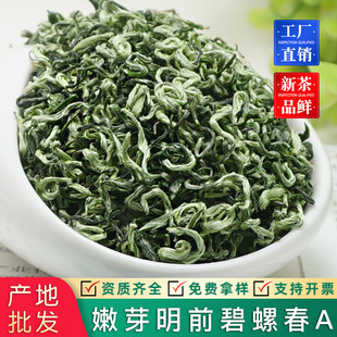 2026�±��ݴ�A���~�²���ǰ���ݴ��紺��ѿ�G�� ɢ�b���~���l