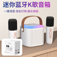 16小型蓝牙音响便携式亲子互动KTV聚会无线K歌带话筒立体声音箱
