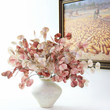 �p���ȼ����~�҃ȼٻ����Wֲ���ָ��zƬ���X�~�Ҿӻ�c�廨��ɫ�~