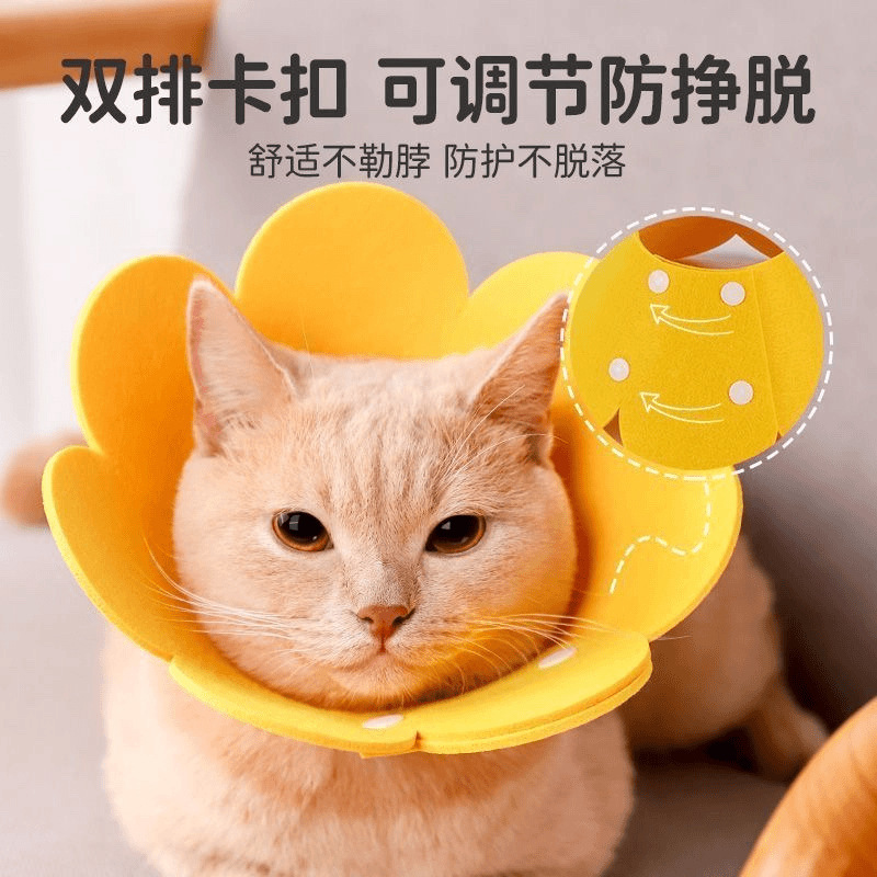 防舔脖套猫头套围脖用品短视频同款伊丽莎白圈猫咪绝育项圈防咬|undefined
