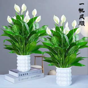 һ���L��������ܾGֲ������ˮ������҃ȿ͏d�[���ͺ���һ�����l